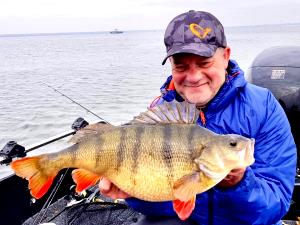 3 Oz Perch Fish (Mixed Species)