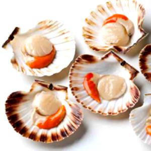 3 Oz Scallop, Imitation
