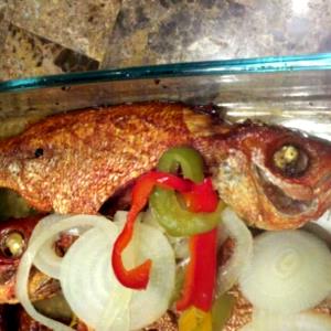 3 Oz Snapper