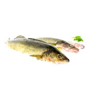 3 Oz Walleye Pike (Fish) (Cooked, Dry Heat)