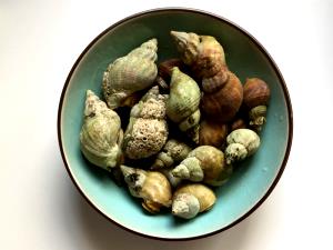 3 Oz Whelk (Cooked, Moist Heat)