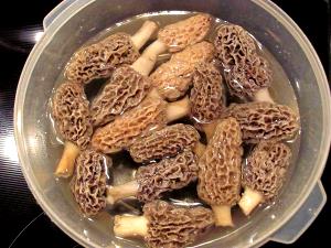 3 Pieces Mushroom, Morel, Dried