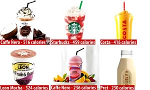 380 Grams NORTHERN LITE MOCHA - Medium - Skim Milk - Dark Chocolate - With Non-Fat Whip