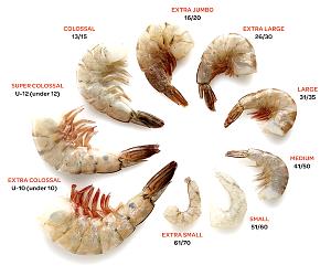 4 Large Shrimp