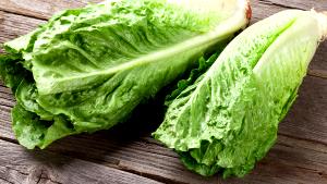 4 lettuce leaves (85 g) Lettuce Scoops Lettuce Leaves