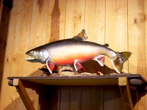 4 oz (112 g) Arctic Char