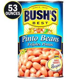 4 oz (113 g) Pinto Beans