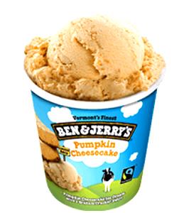 4 oz (113 g) Pumpkin Cheesecake Ice Cream