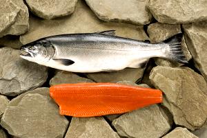 4 oz (113 g) Wild Silver Coho Salmon