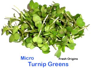 4 Oz Turnip Greens