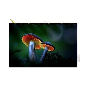 4 squares (43 g) Enchanted Mushroom
