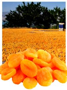 5-6 pieces (40 g) Dried Apricots