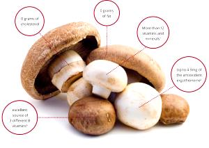 5 mushrooms (85 g) Mushrooms