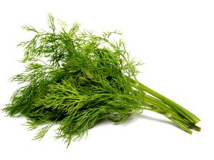 5 Sprigs Dill Weed, Fresh