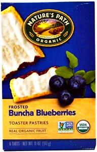 52 Grams Toaster Pastry, Blueberry