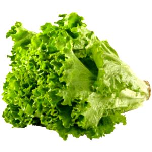 6 lettuce leafs (3 oz) Green Leaf Lettuce