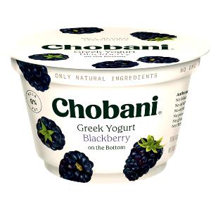6 oz (170 g) Fat Free No Sugar Added Blackberry Yogurt