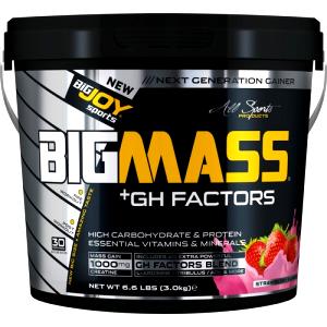 6 scoops (359 g) Mass Gainer