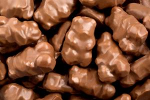 7 pieces (40 g) Chocolate Covered Gummi Bears
