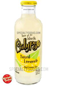 8 fl oz (237 ml) Natural Lemonade