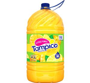 8 fl oz (240 ml) Citrus Punch