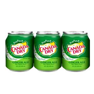8 fl oz (240 ml) Ginger Ale Soda
