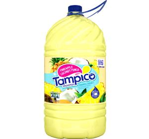 8 fl oz (240 ml) Pineapple Coconut Punch