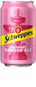 8 Fl Oz Raspberry Ginger Ale