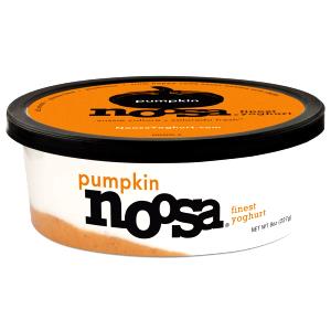8 oz (227 g) Pumpkin Yoghurt
