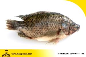 8 oz uncooked (224 g) Tilapia Mango Tango Delitefuls