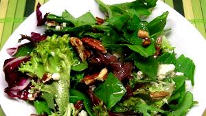 9.5 ox (269 g) Balsamic Bleu Salad