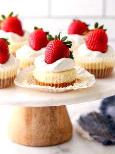 cheesecake (78 g) Creamy Classic Mini Cheesecake