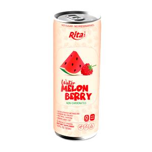 1 Can Natural Juice, Berry, Can