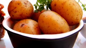1 Canned Potato (approx 1 Dia) Boiled Potato (without Peel)