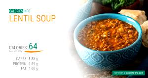 1 cup (245 g) Lentil Soup