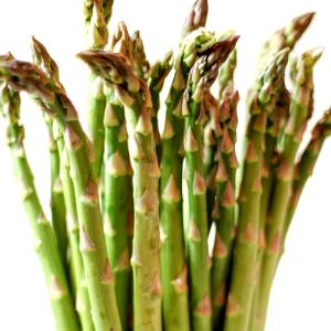 1 Extra Large Spear (8-3/4 To 10 Long) Cooked Asparagus (Fat Not Added in Cooking)