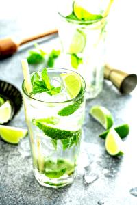 1 Fl Oz (no Ice) Mojito