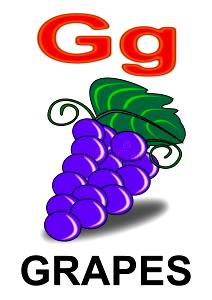 1 Fruit (4.9 G) Grapes