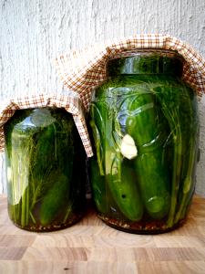 1 Large (4 Long) Dill Cucumber Pickles