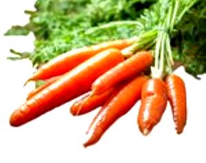 1 Large (7-1/4 To 8-1/2 Long) Carrots