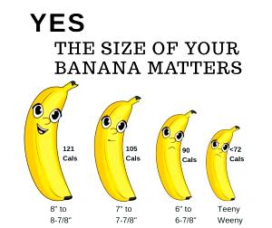 1 Large (8 To 8-7/8 Long) Banana