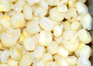 1 Large Ear (7-3/4 To 9 Long) Cooked White Corn (from Fresh, Fat Not Added in Cooking)