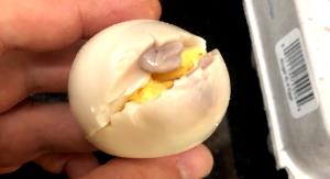 1 Large Egg, Chicken, Hard-Boiled