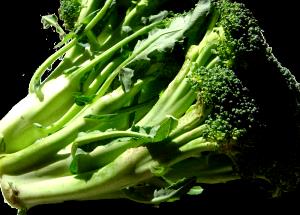 1 Lb Broccoli (Spears, with Salt, Frozen, Drained, Cooked, Boiled)