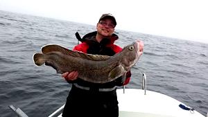 1 Lb Cusk (Fish)