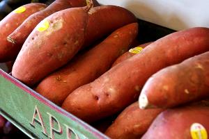 1 Lb Sweet Potato