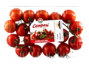1 medium tomato (148 g) Campari Tomatoes