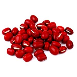 1 Oz Adzuki Yokan Beans (Mature Seeds)