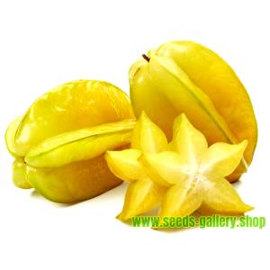 1 Oz Carambola (Starfruit)