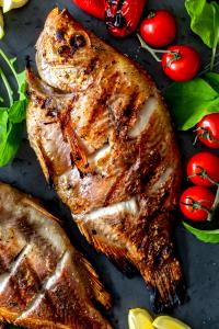 1 Piece Grilled Tilapia